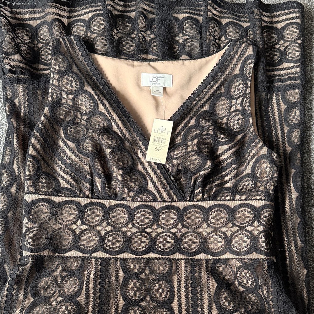 LOFT Black and Cream Lace Midi Dress
